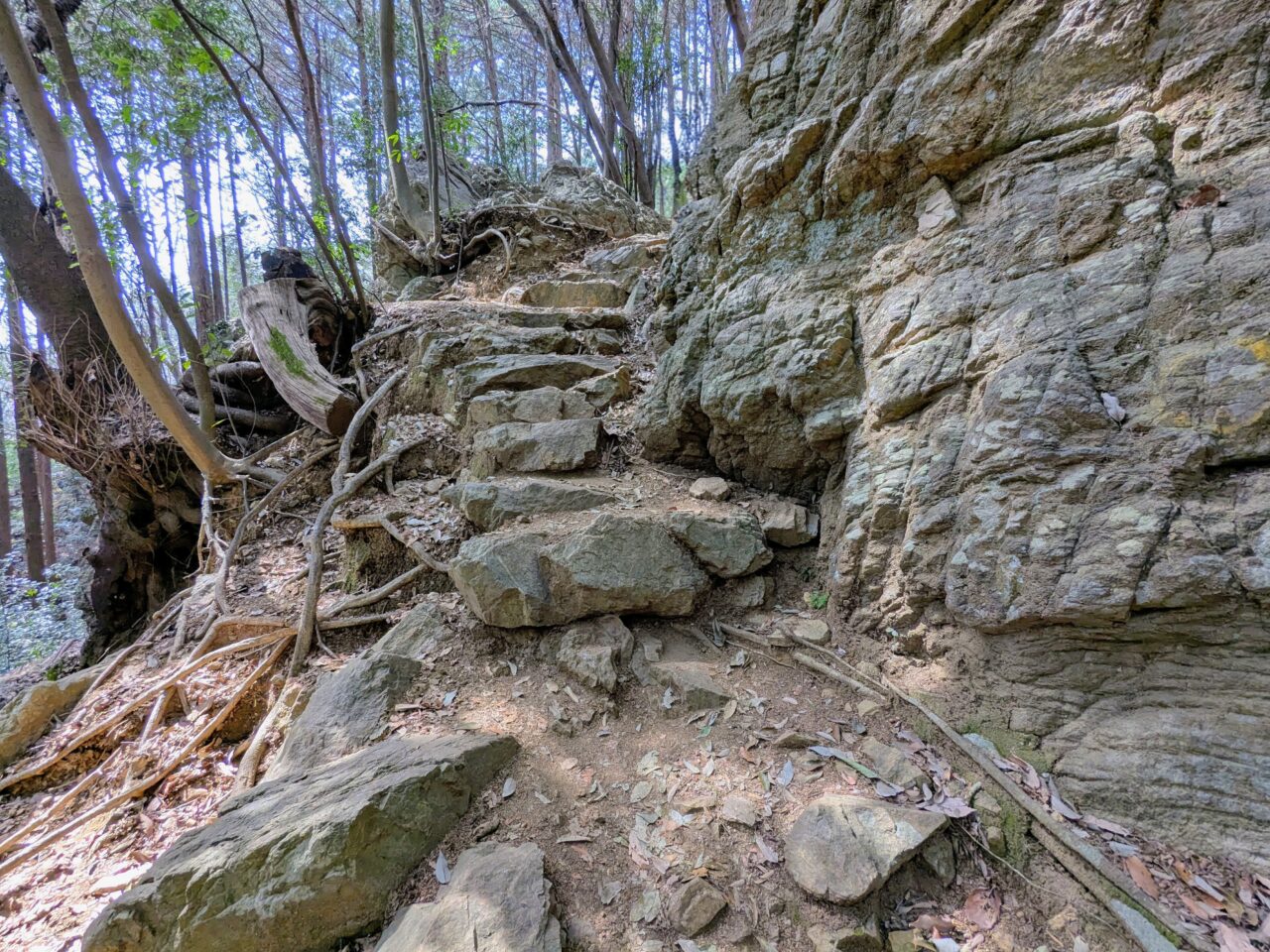 日和田山(日和田山登山口から日和田山山頂)