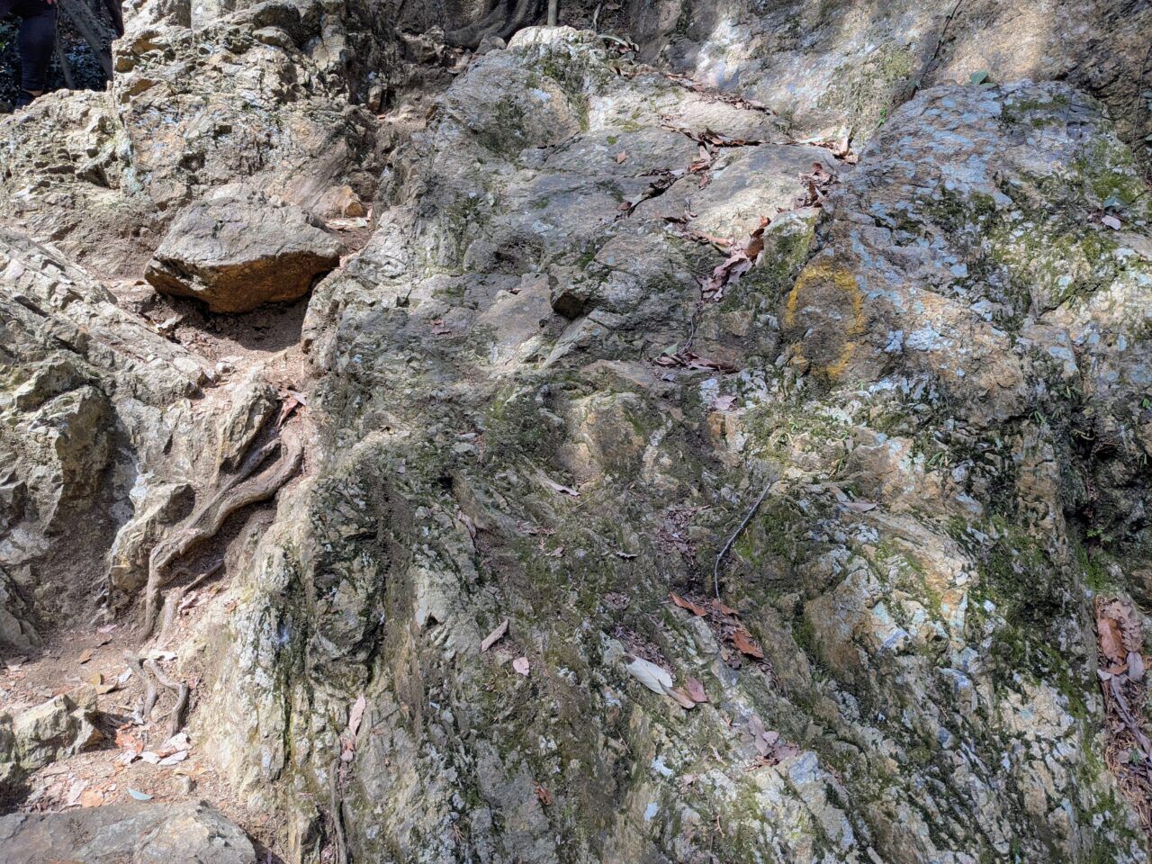 日和田山(日和田山登山口から日和田山山頂)