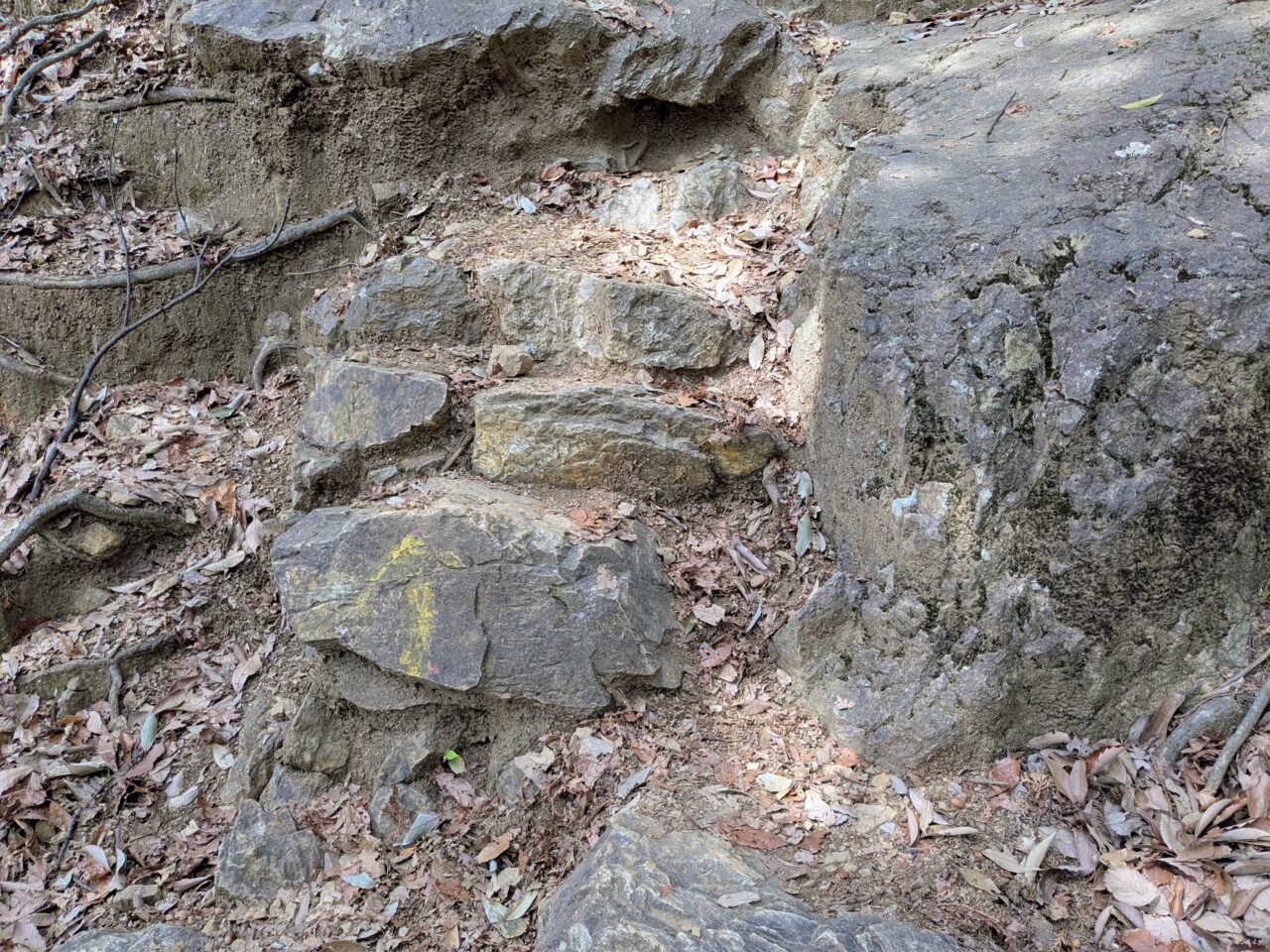 日和田山(日和田山登山口から日和田山山頂)