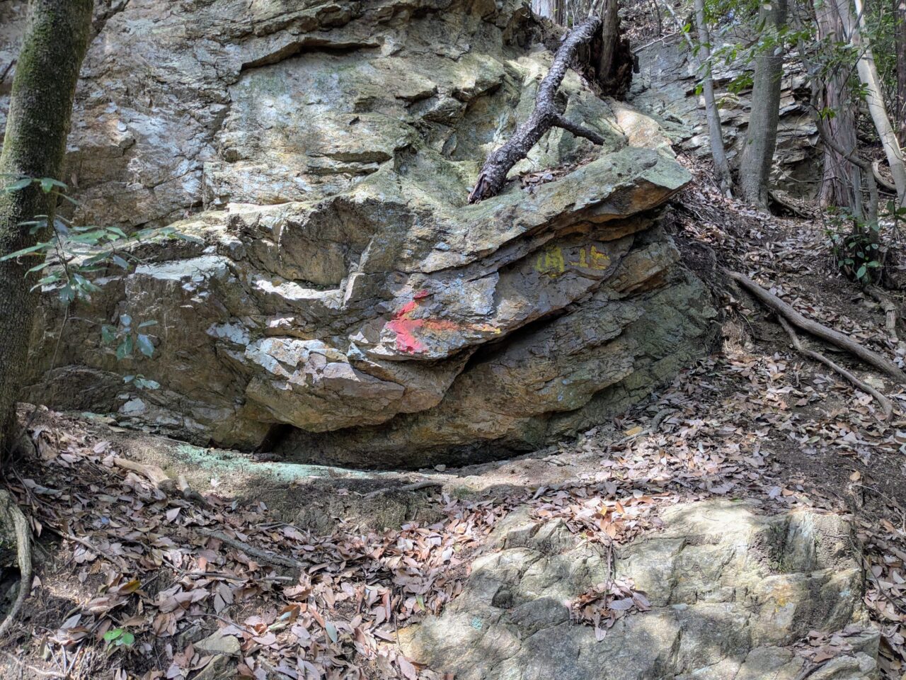 日和田山(日和田山登山口から日和田山山頂)
