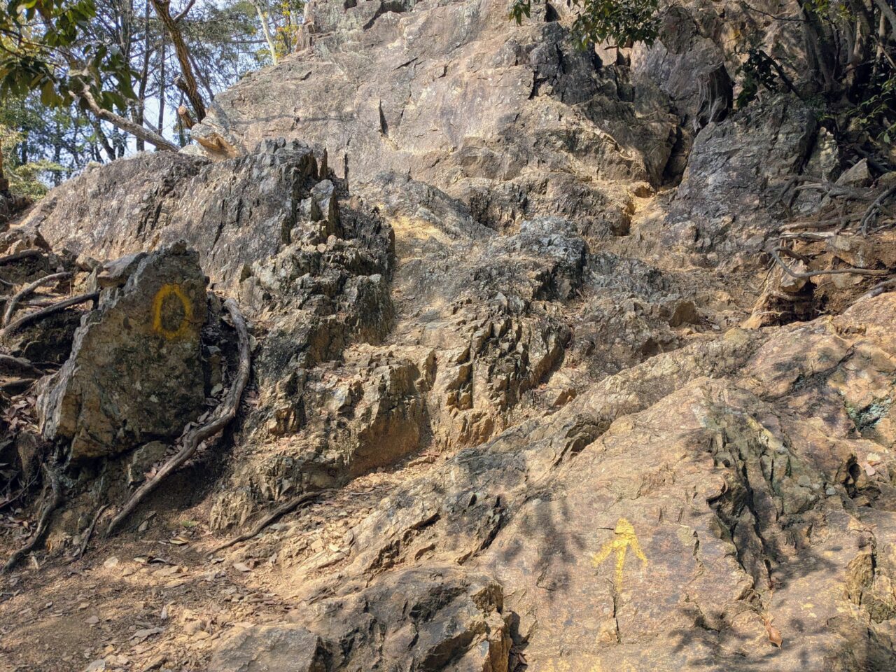 日和田山(日和田山登山口から日和田山山頂)