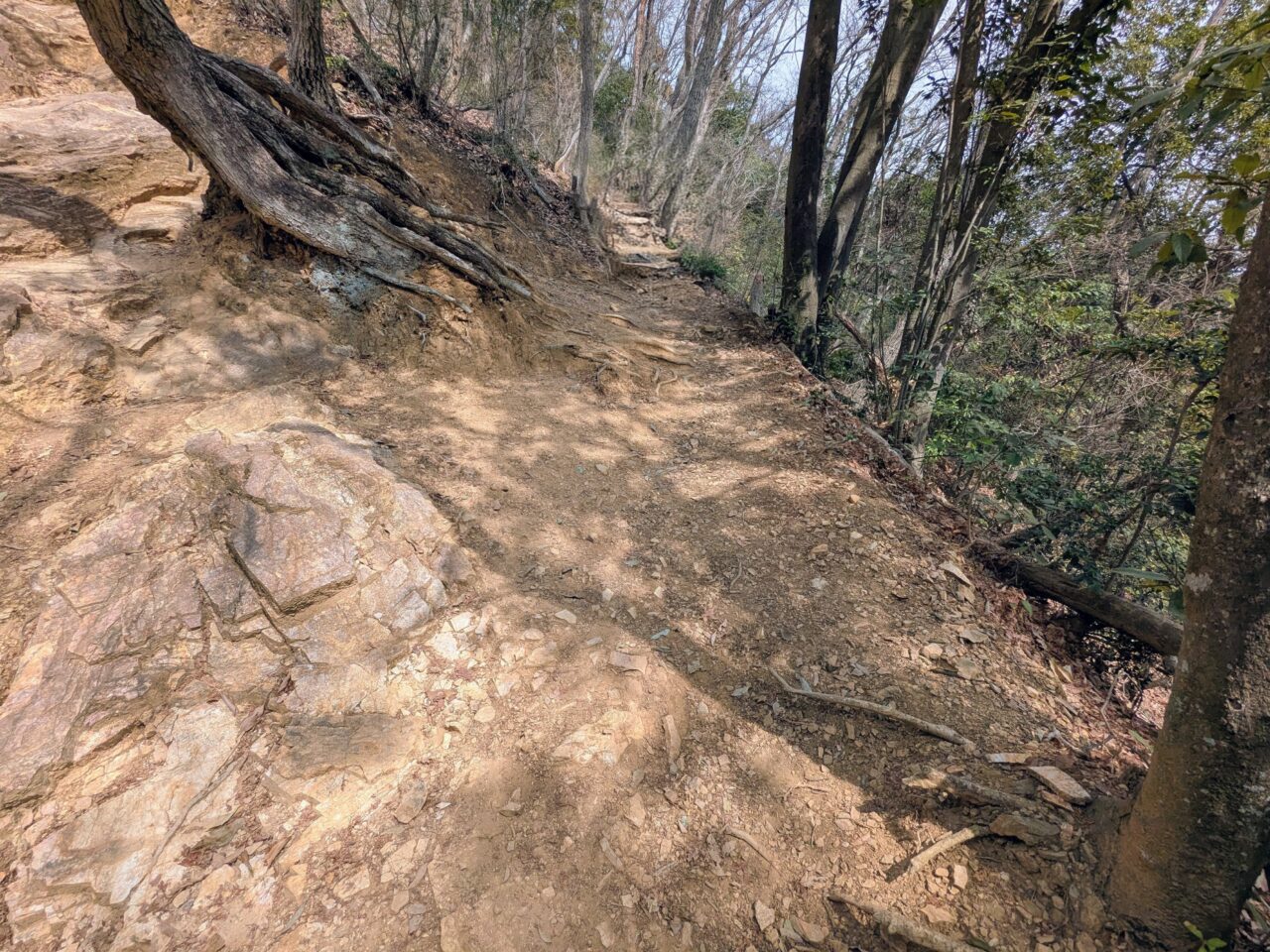 日和田山(日和田山登山口から日和田山山頂)