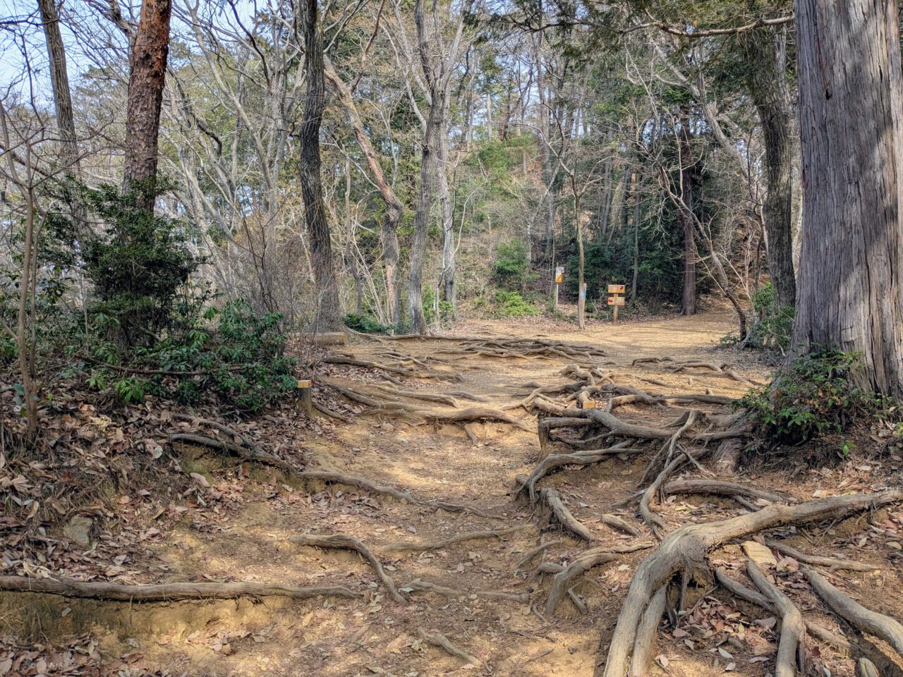 日和田山(日和田山登山口から日和田山山頂)