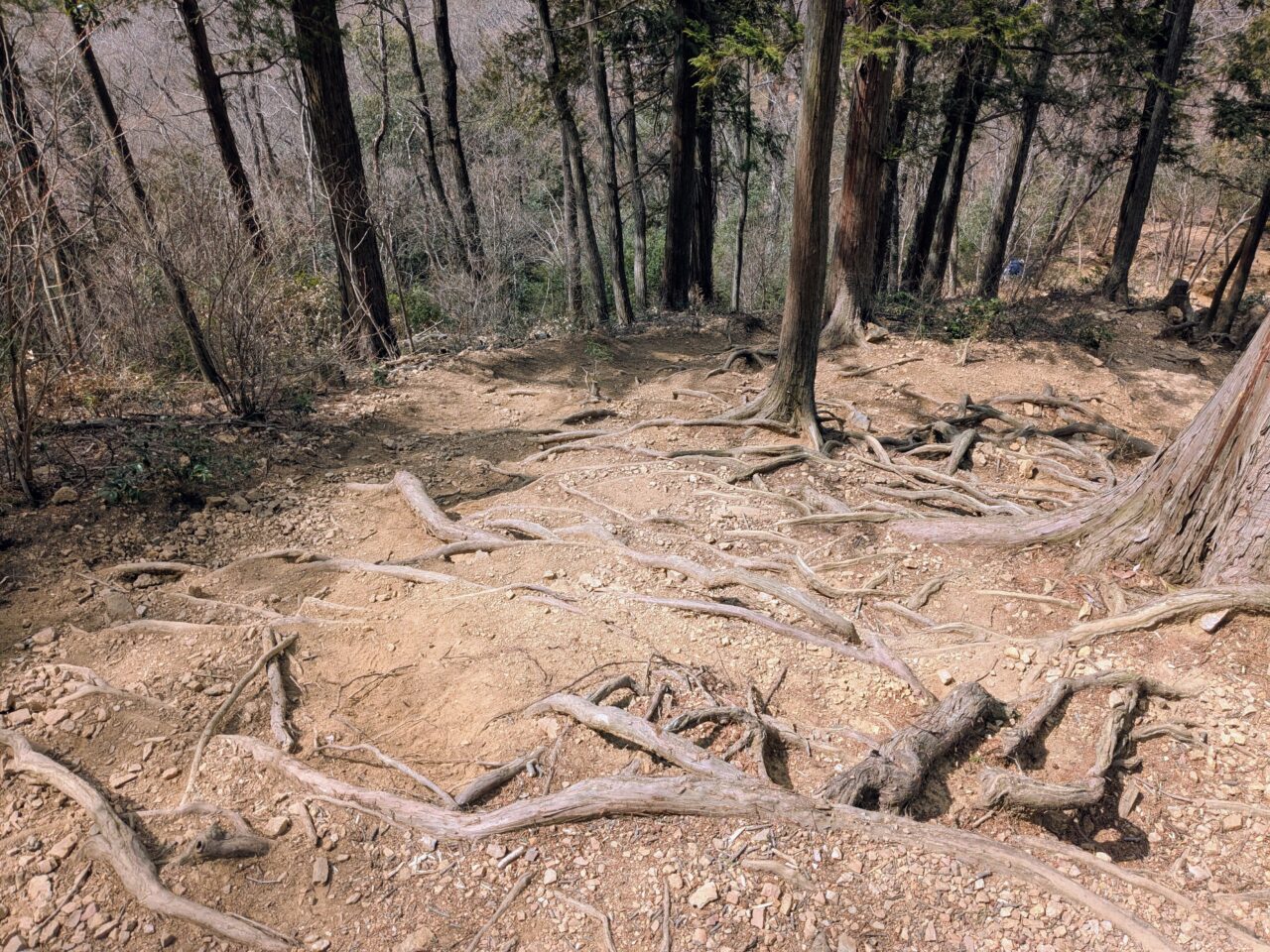 日和田山(日和田山山頂から高指山)