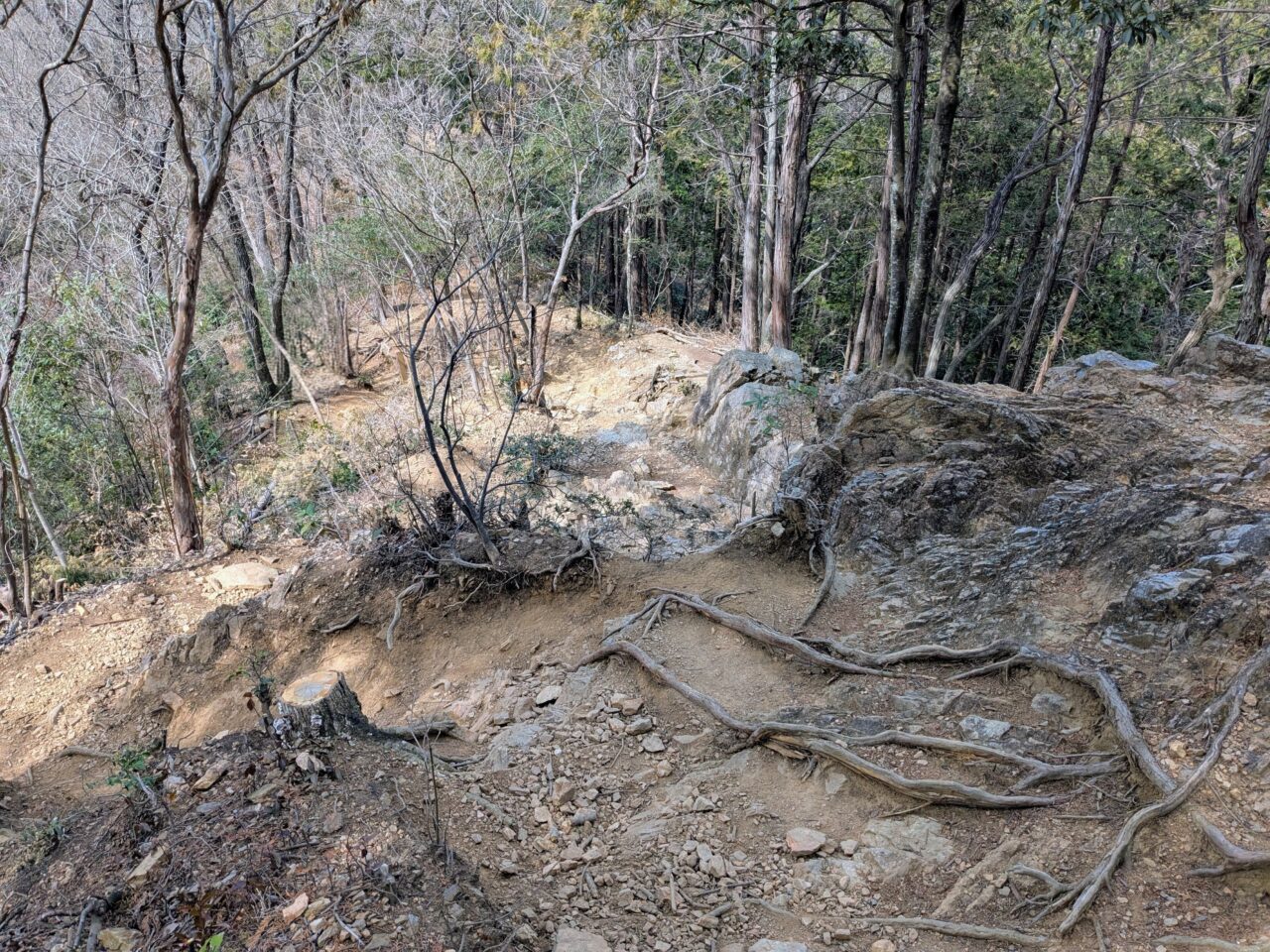 日和田山(日和田山山頂から高指山)