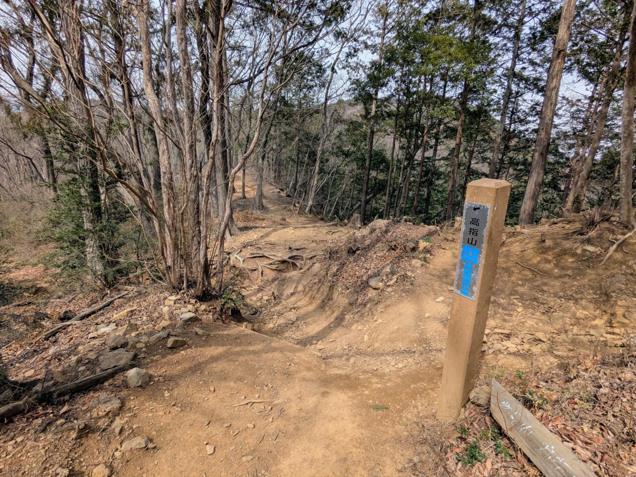日和田山(日和田山山頂から高指山)