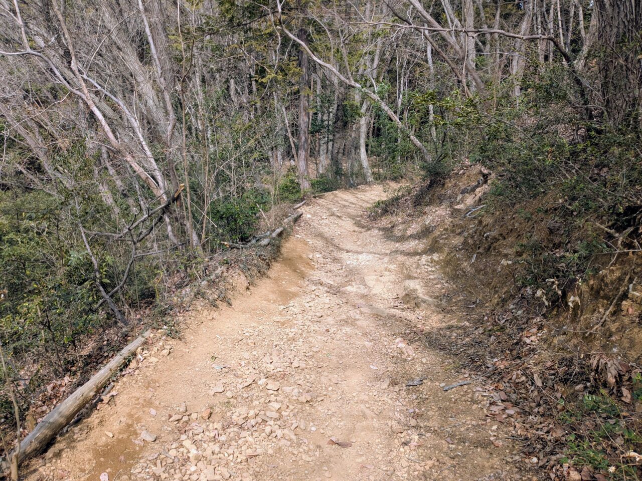 日和田山(日和田山山頂から高指山)