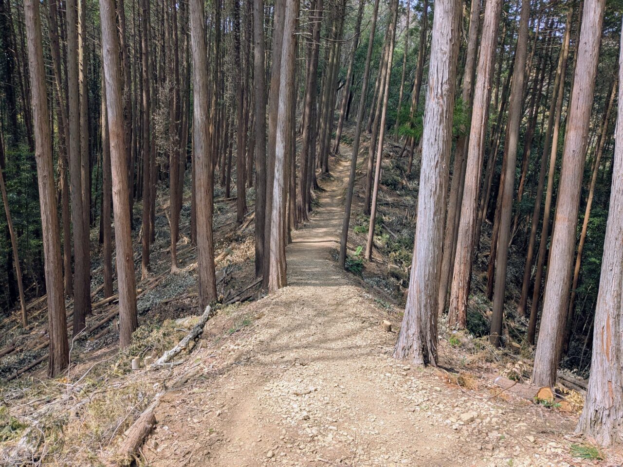 日和田山(日和田山山頂から高指山)