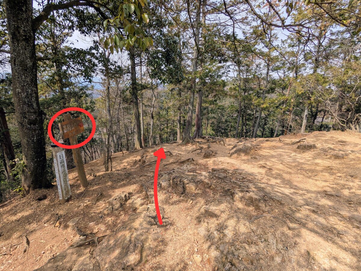 日和田山(日和田山山頂から高指山)