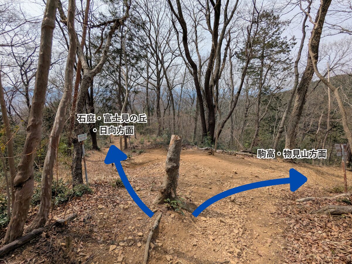 日和田山(日和田山山頂から高指山)