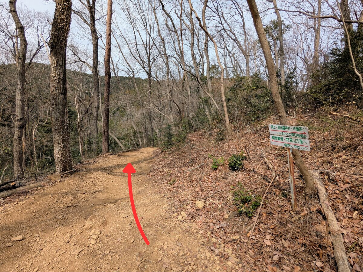 日和田山(日和田山山頂から高指山)