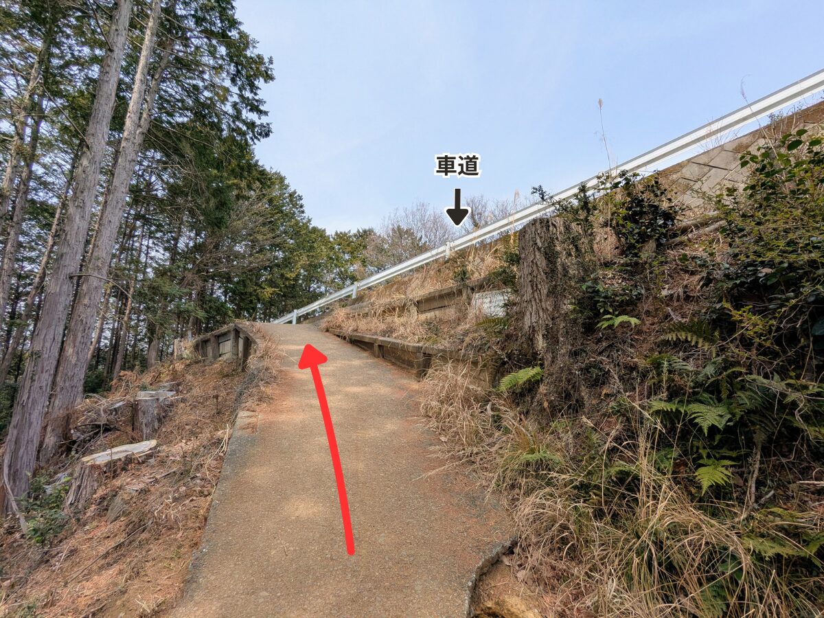 日和田山(日和田山山頂から高指山)