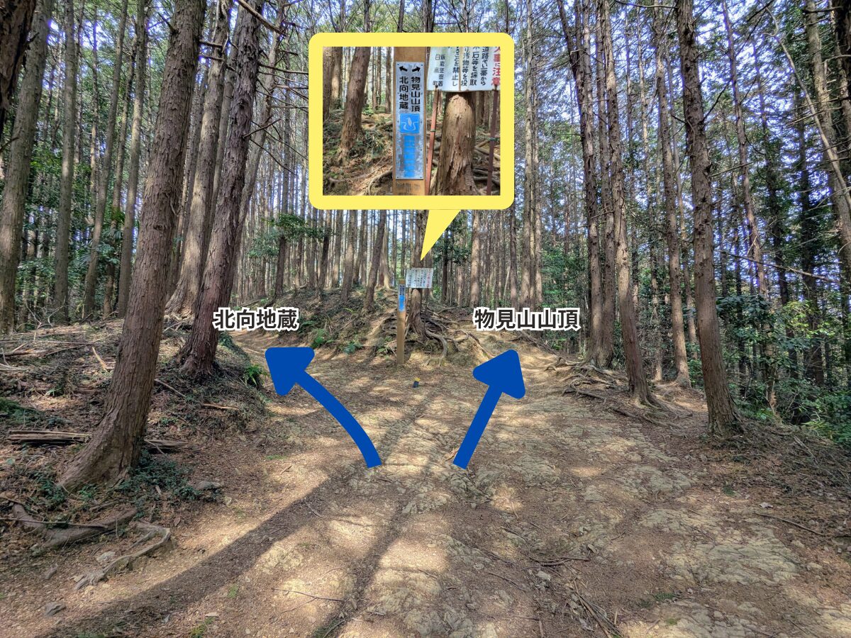 日和田山(高指山山頂から物見山)