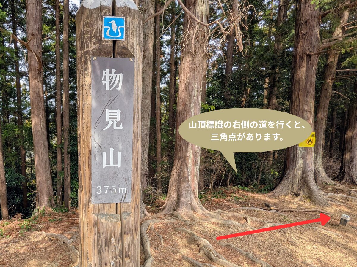 物見山山頂から三角点への道のり