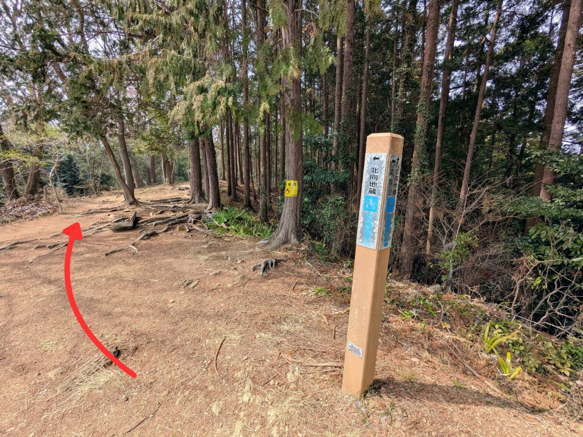 日和田山(物見山山頂から北向地蔵)