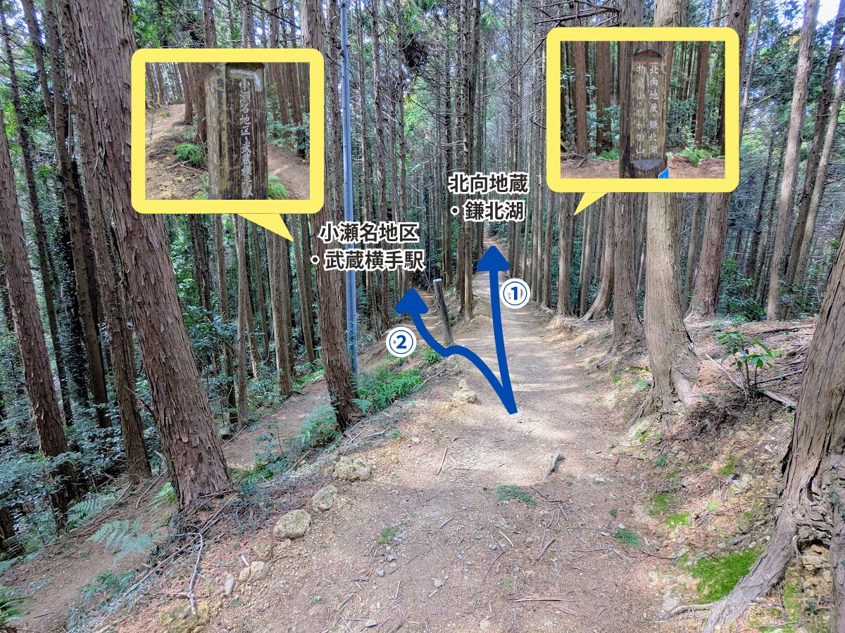 日和田山(物見山山頂から北向地蔵)