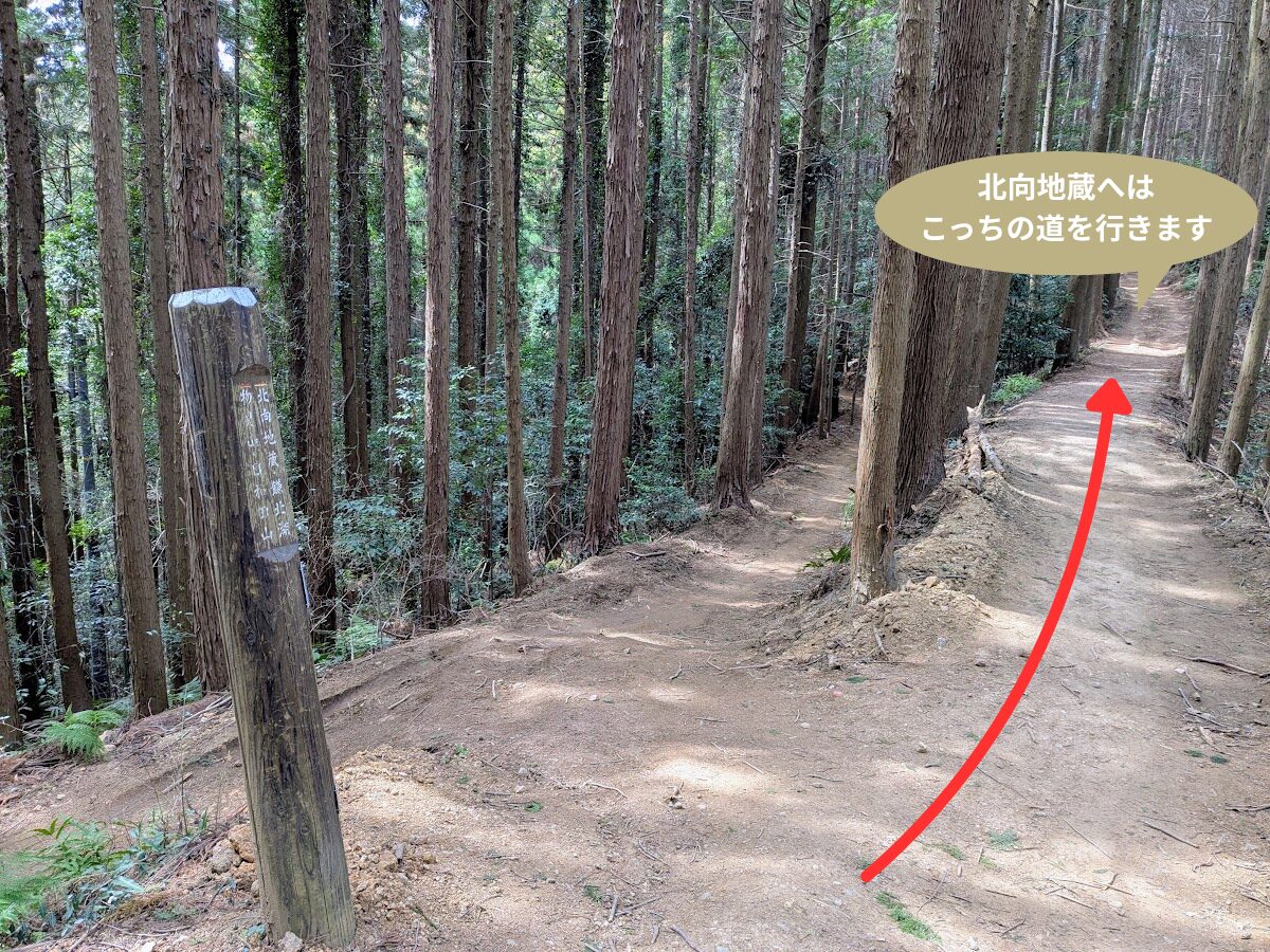 日和田山(物見山山頂から北向地蔵)