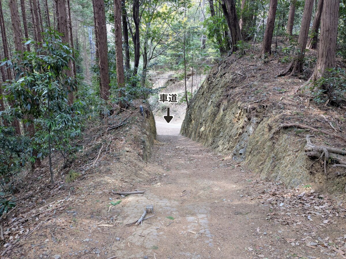 日和田山(物見山山頂から北向地蔵)