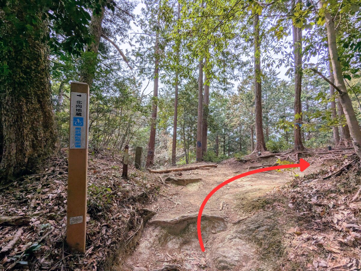 日和田山(物見山山頂から北向地蔵)