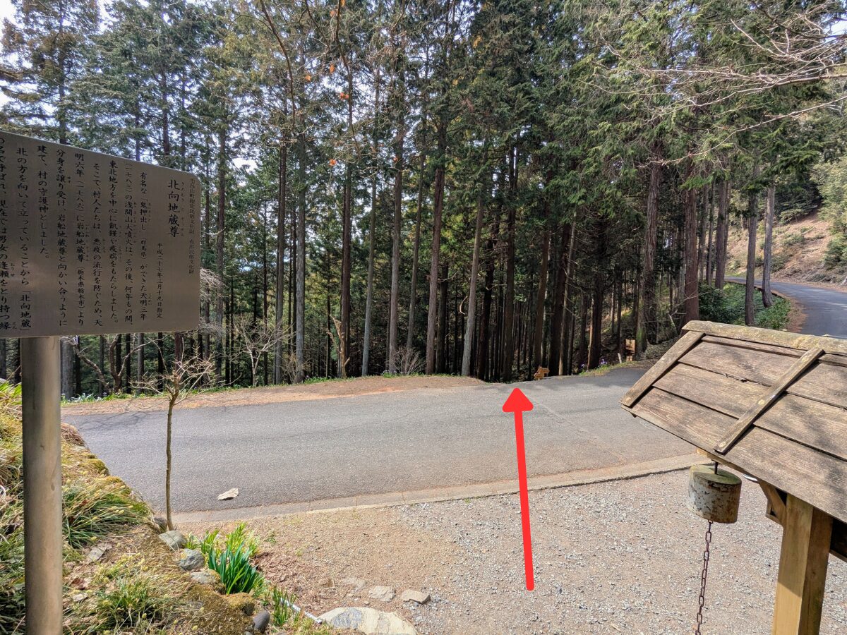 日和田山(北向地蔵から五常の滝)