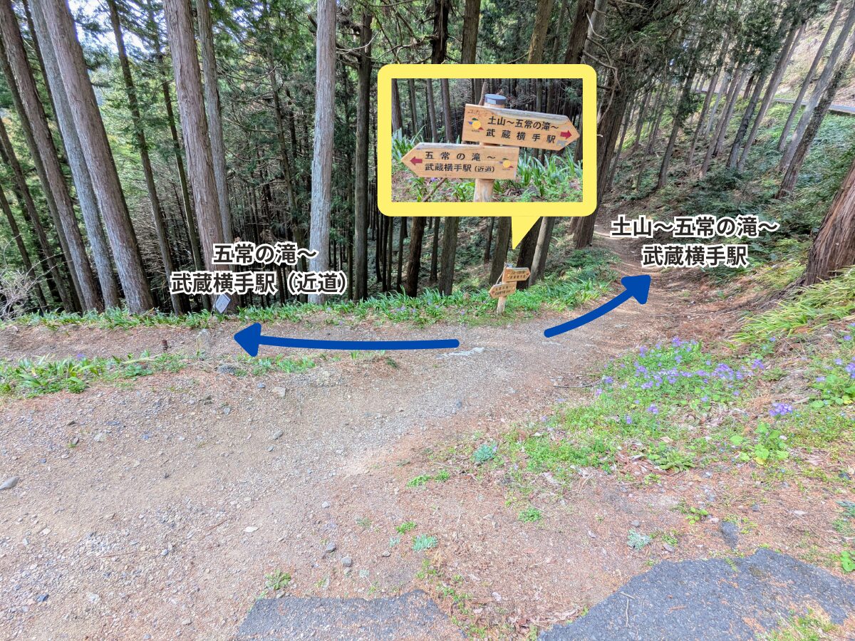 日和田山(北向地蔵から五常の滝)