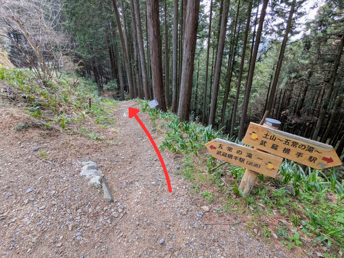 日和田山(北向地蔵から五常の滝)