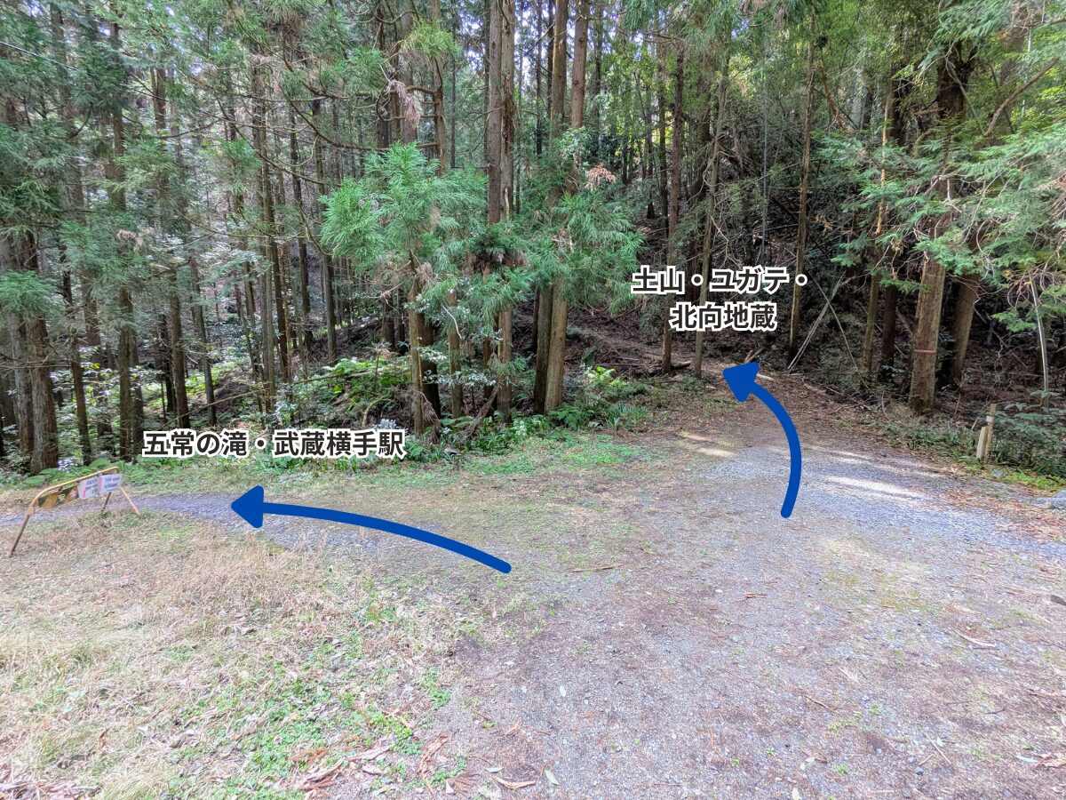 日和田山(北向地蔵から五常の滝)