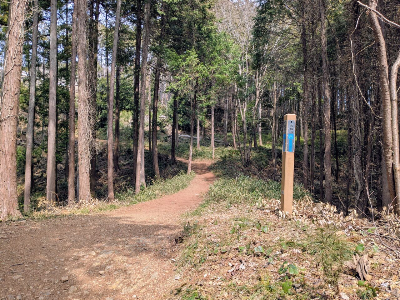 日和田山(日和田山山頂から高指山)