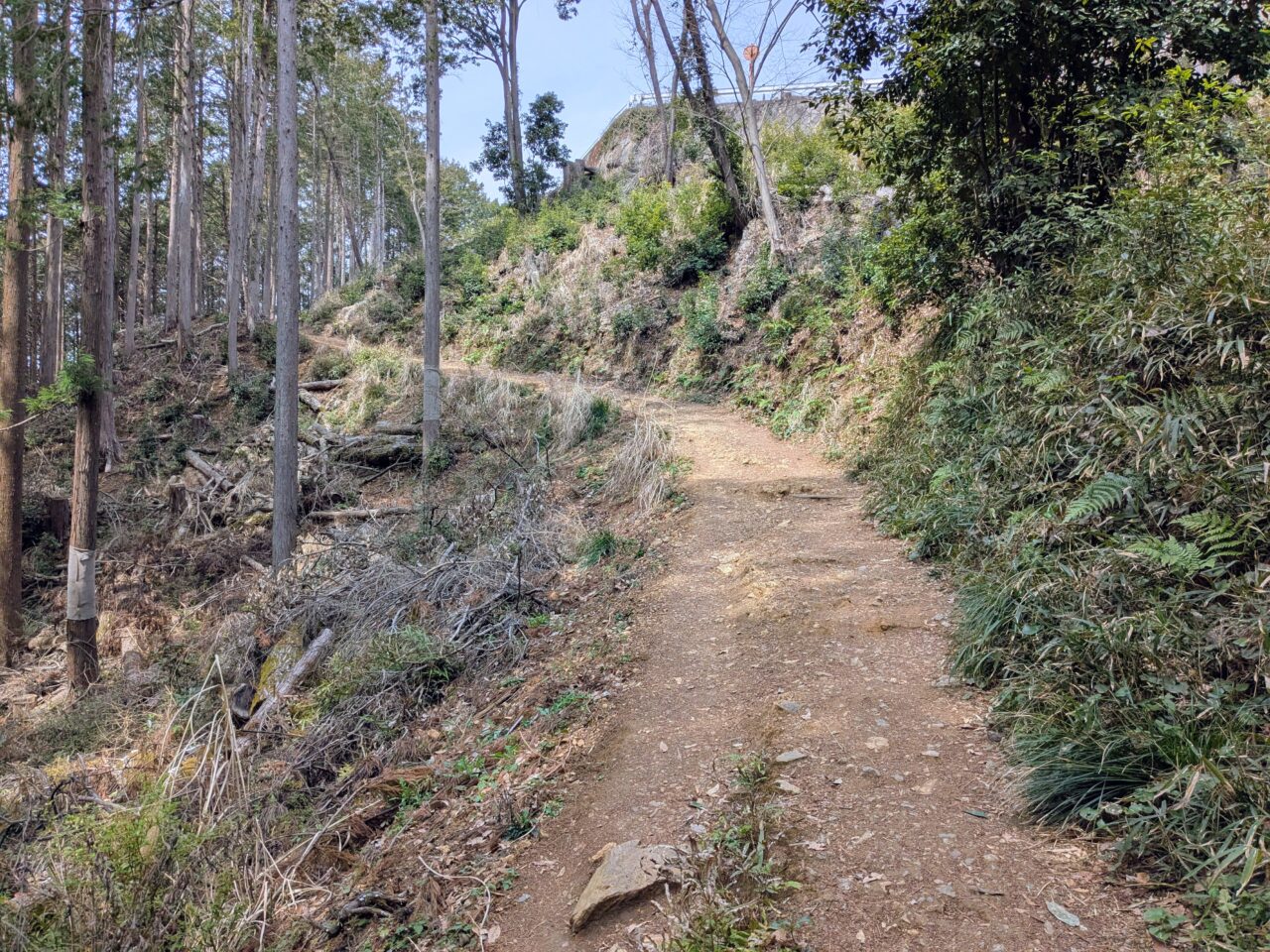 日和田山(日和田山山頂から高指山)