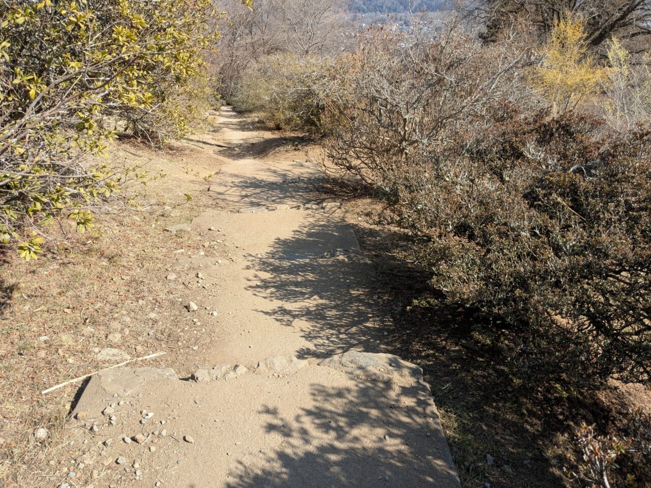 宝登山（宝登山山頂から長瀞駅）
