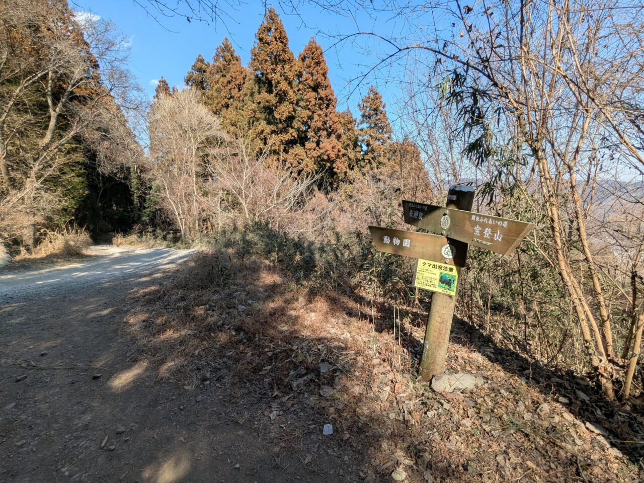宝登山（宝登山山頂から長瀞駅）