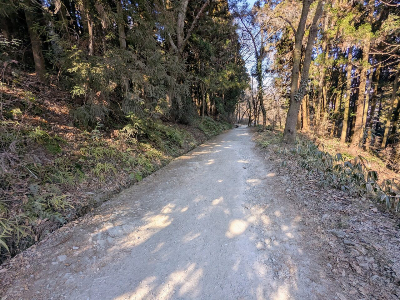 宝登山（宝登山山頂から長瀞駅）