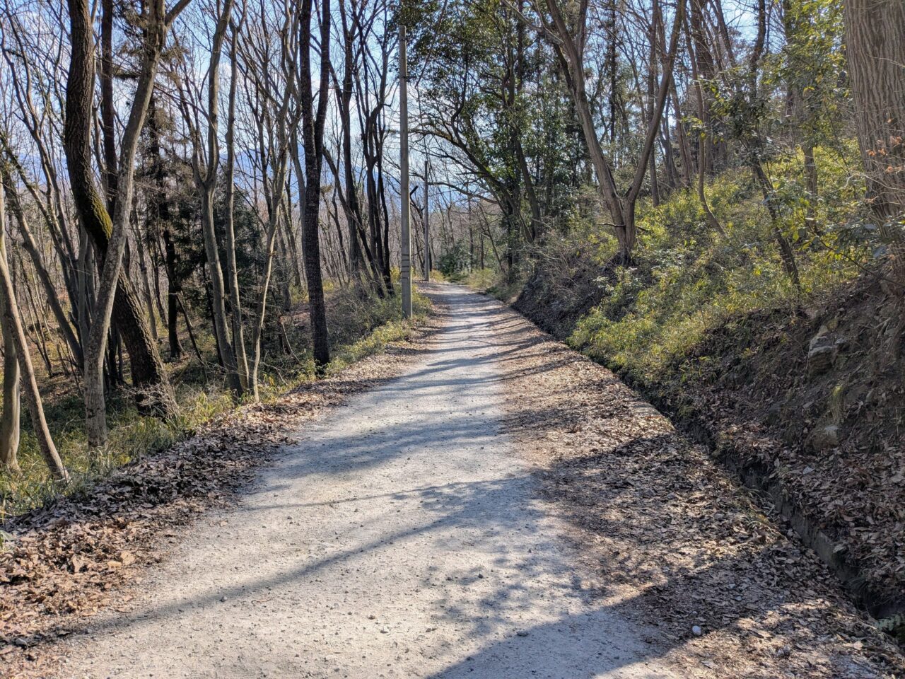 宝登山（宝登山山頂から長瀞駅）