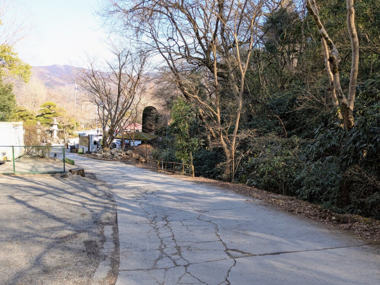 宝登山（宝登山山頂から長瀞駅）