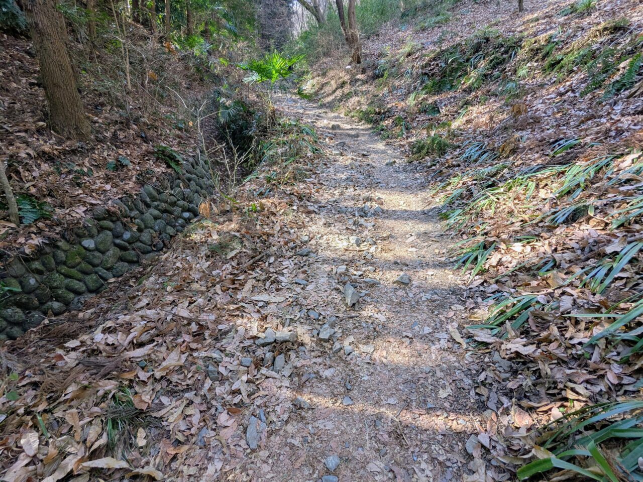 宝登山（長瀞アルプス登山口から宝登山山頂）