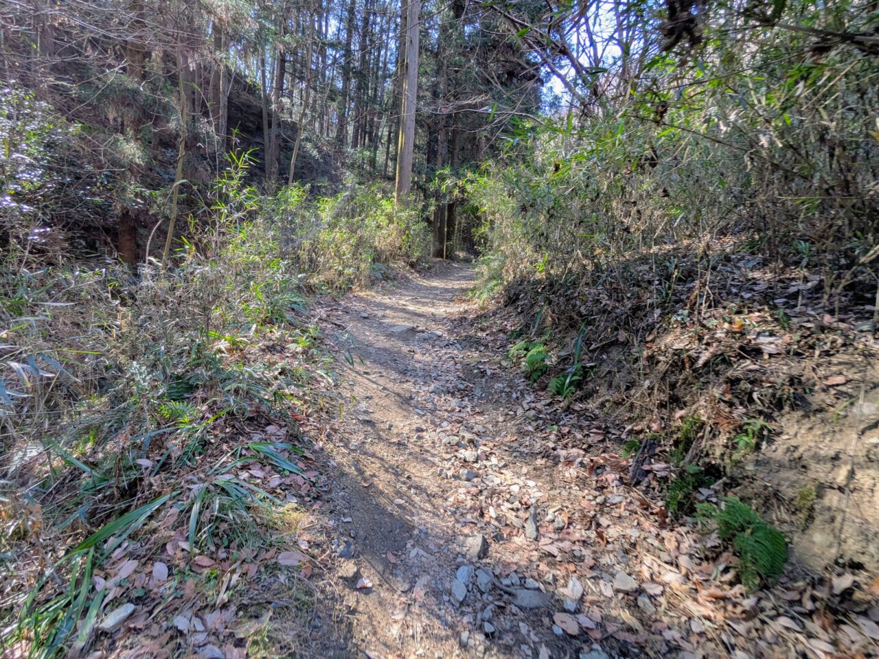 宝登山（長瀞アルプス登山口から宝登山山頂）