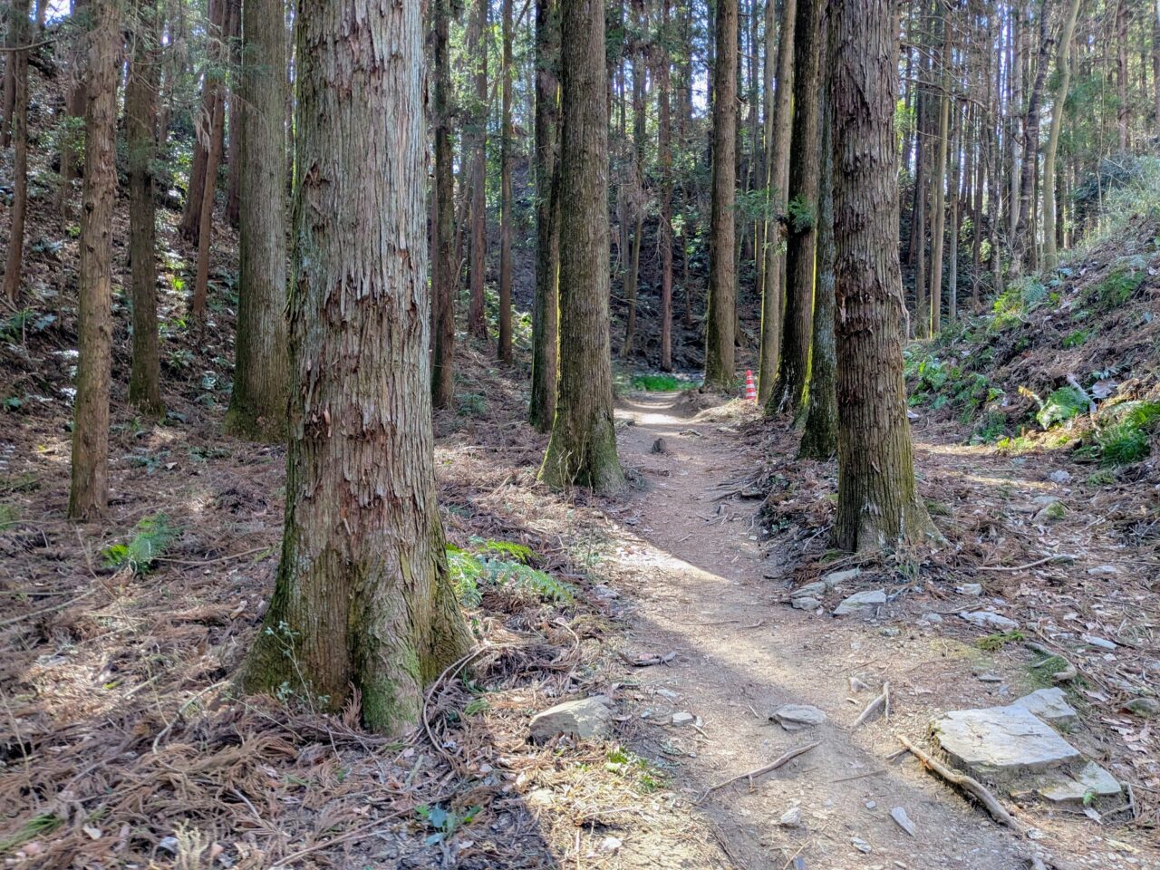 宝登山（長瀞アルプス登山口から宝登山山頂）