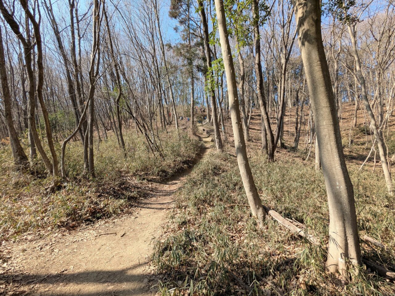 宝登山（長瀞アルプス登山口から宝登山山頂）