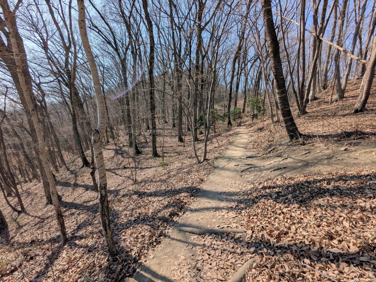 宝登山（長瀞アルプス登山口から宝登山山頂）