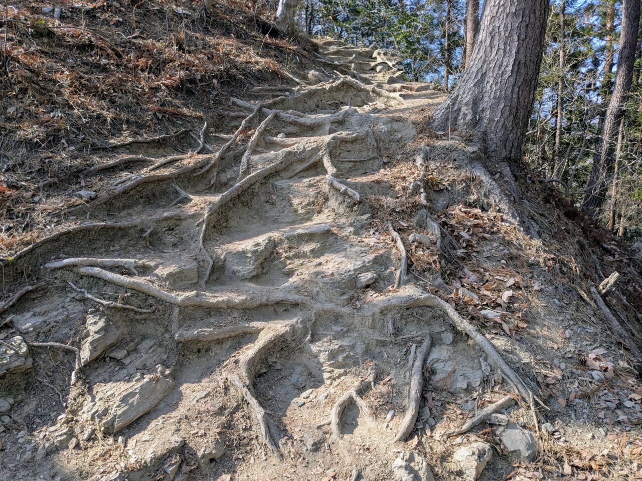 宝登山（長瀞アルプス登山口から宝登山山頂）