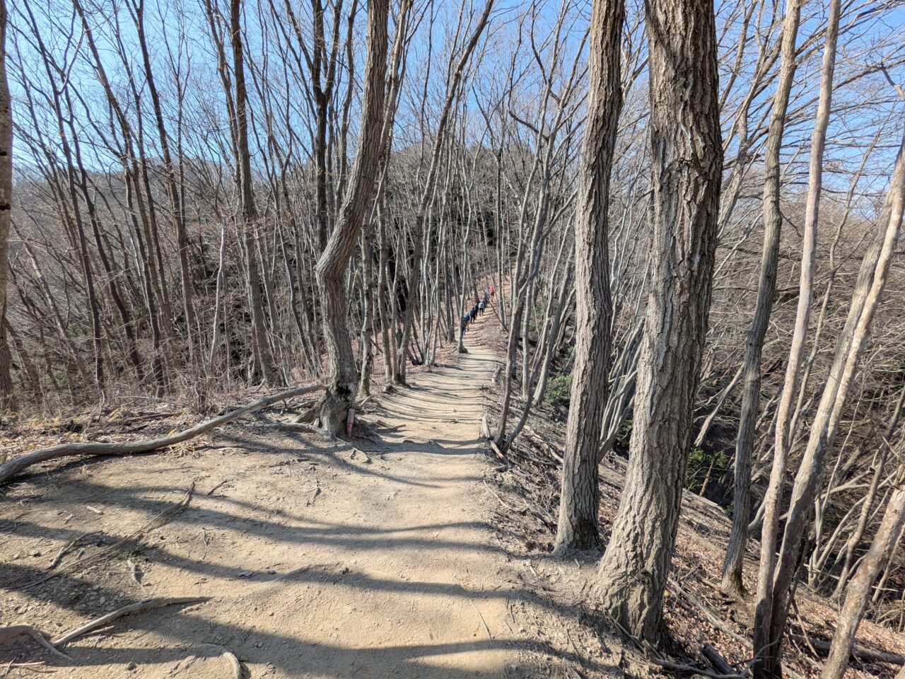 宝登山（長瀞アルプス登山口から宝登山山頂）