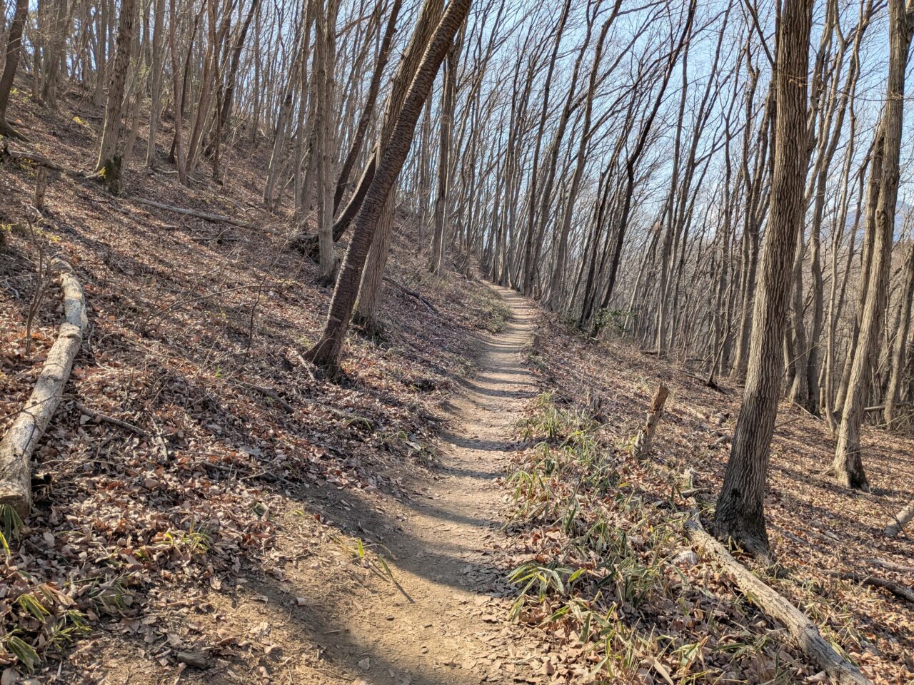 宝登山（長瀞アルプス登山口から宝登山山頂）