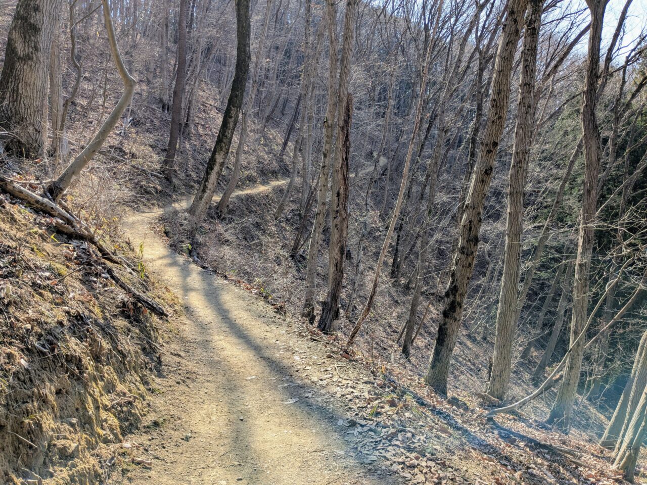 宝登山（長瀞アルプス登山口から宝登山山頂）