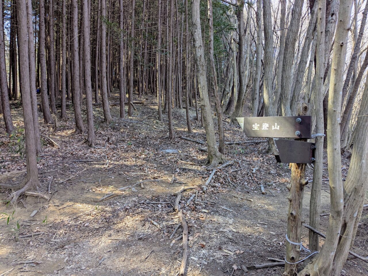 宝登山（長瀞アルプス登山口から宝登山山頂）