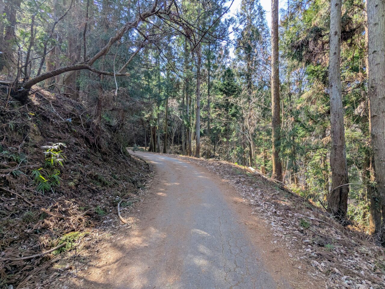 宝登山（長瀞アルプス登山口から宝登山山頂）