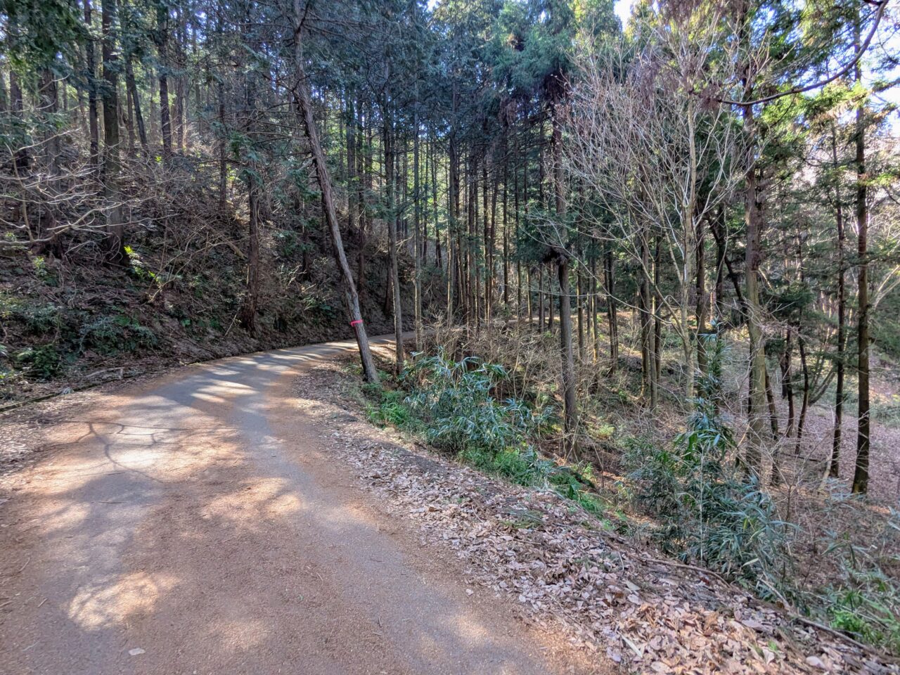 宝登山（長瀞アルプス登山口から宝登山山頂）