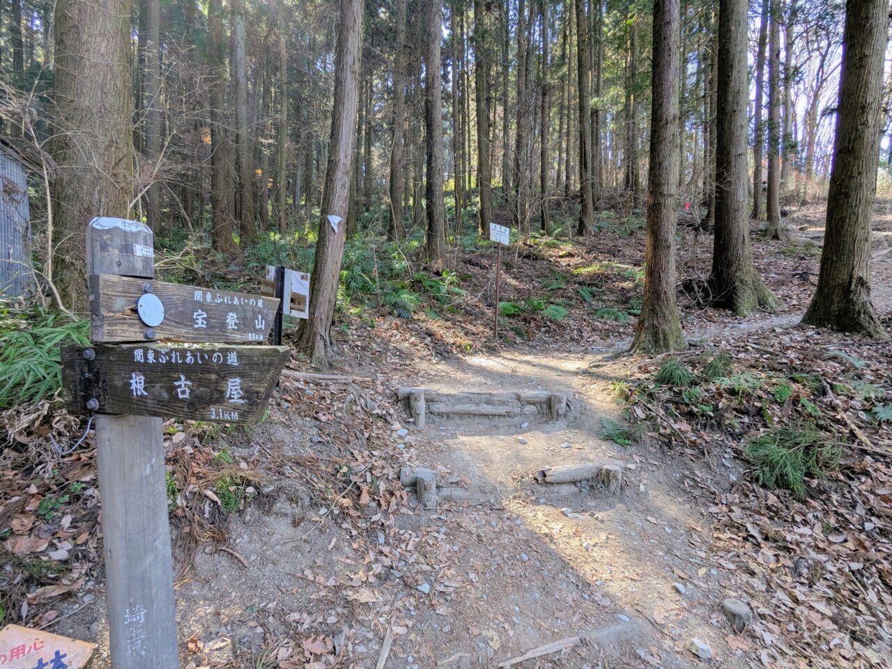 宝登山（長瀞アルプス登山口から宝登山山頂）