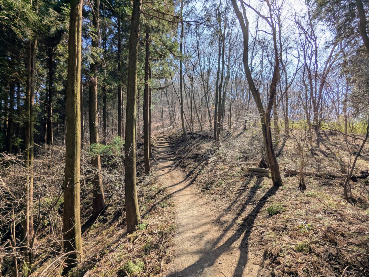 宝登山（長瀞アルプス登山口から宝登山山頂）