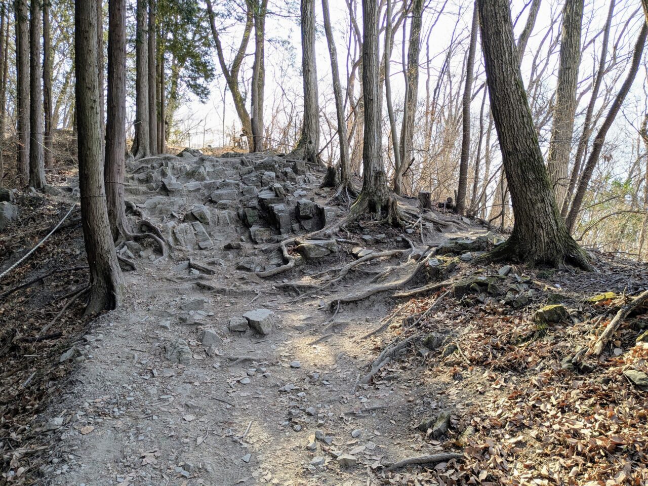 宝登山（長瀞アルプス登山口から宝登山山頂）