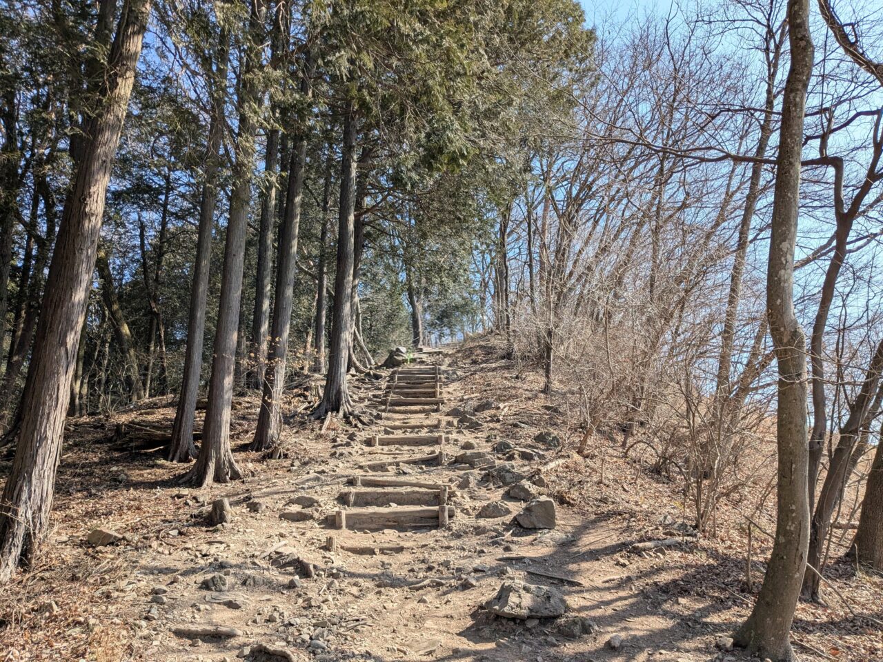 宝登山（長瀞アルプス登山口から宝登山山頂）